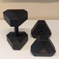 Coppia Manubri Pesi Palestra 22,5 kg