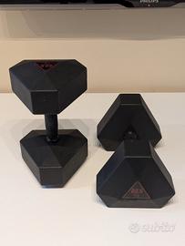 Coppia Manubri Pesi Palestra 22,5 kg