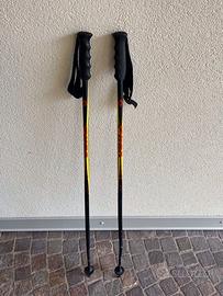 Bastoncini da sci alpino
