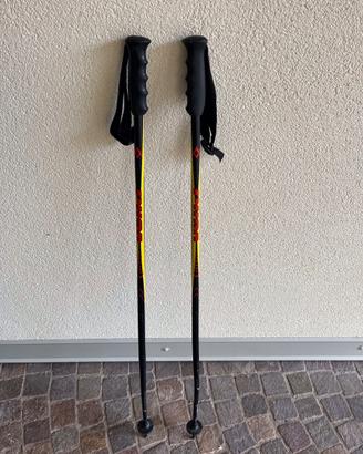 Bastoncini da sci alpino