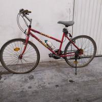 Bicicletta