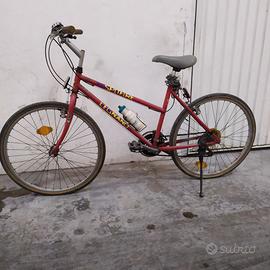 Bicicletta