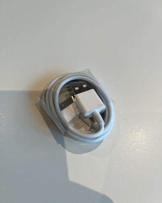 Cavo Apple iPhone Dock a USB