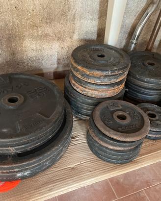 Pesi in ghisa domyos