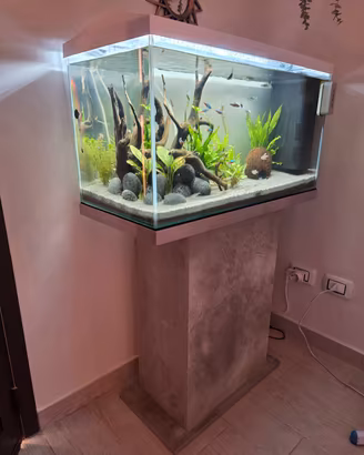Acquario set completo