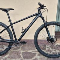 Mtb Specialized 29 misura L