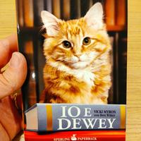 Libro Io e Dewey Vicky Myron