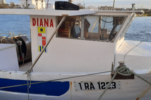 Peschereccio strascico