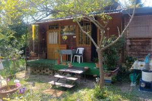 Bungalow