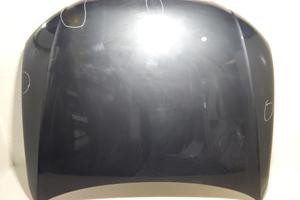 COFANO ANTERIORE AUDI A4 Avant (B8) 8K0823029D (11