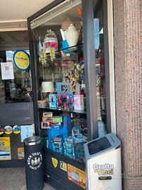 Vetrina antisfondamento per negozio con infissi