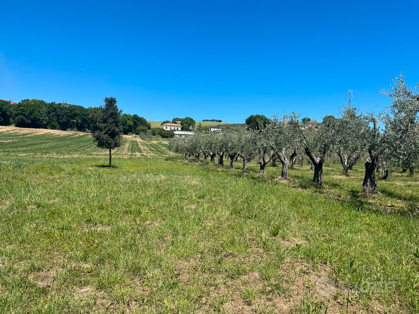 Terreno agricolo - Altro