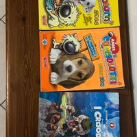 Collezionismo, sei album di figurine