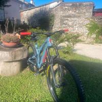 Specialized Stumpjumper 2019 FSR