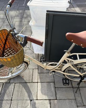 Bicicletta pieghevole La Mia