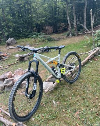 SPECIALIZED Enduro Carbon 29 2019 Taglia L