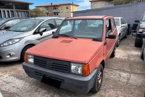 Fiat Panda 1100 i.e. cat Young