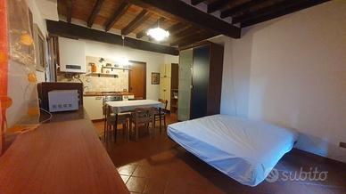 Ampio monolocale arredato