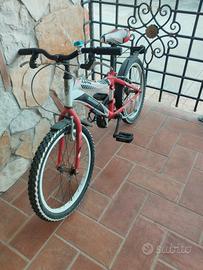 bicicletta 