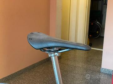 Sella Brooks C13 Cambium