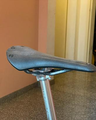 Sella Brooks C13 Cambium