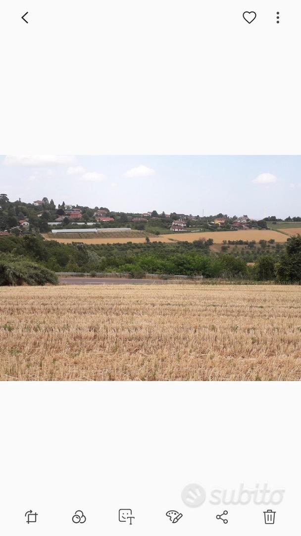 Moncalieri revigliasco - Altro
