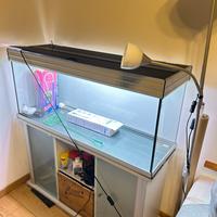 Acquario base Alluminio 300L