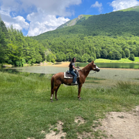 Paint incrocio passeggiate e trekking