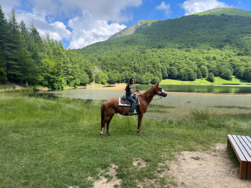 Paint incrocio passeggiate e trekking