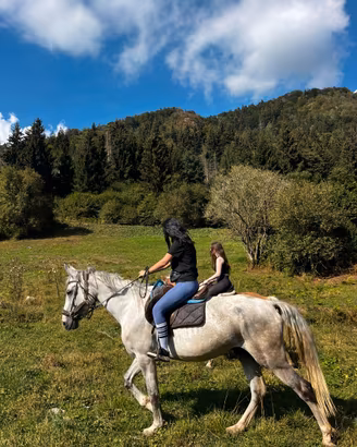 Cavallo