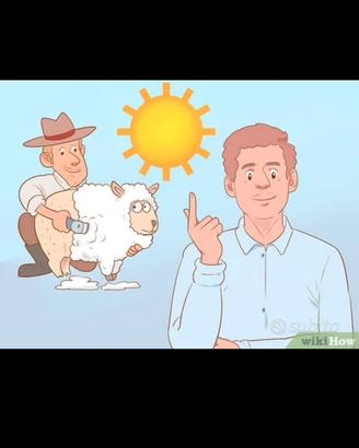 Toso pecore