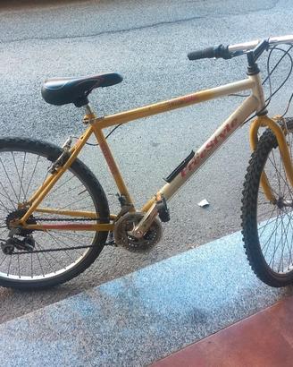 mtb mountain bike