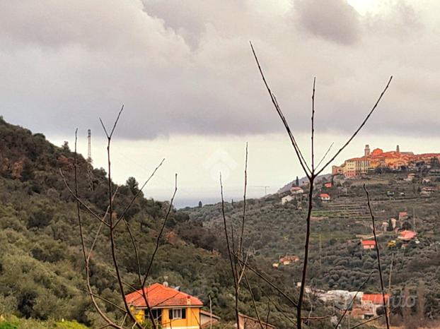 2 LOCALI A DIANO SAN PIETRO