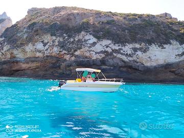 MINGOLLA BRAVA 22 OPEN MERCURY EFI 150 HP