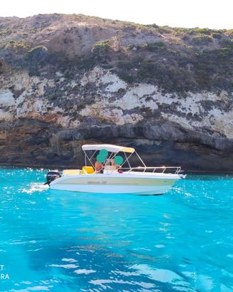 MINGOLLA BRAVA 22 OPEN MERCURY EFI 150 HP