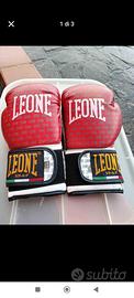 guantoni da boxe marca Leone