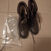 Anfibio militare invernale