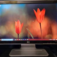 Monitor HP w1907s
