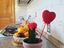 Immagine 6