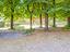 Immagine 28