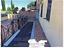 Immagine 14