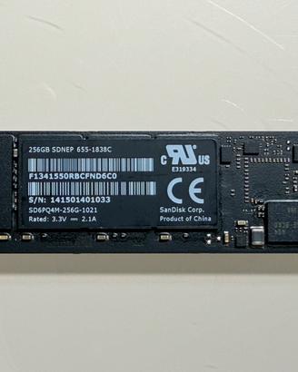 Apple SanDisk 256 Gb