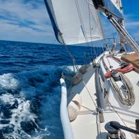 barca a vela - SOLEADA 34