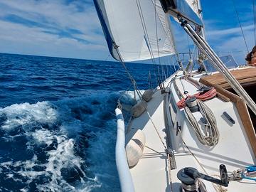 barca a vela - SOLEADA 34