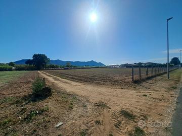 Terreno agricolo