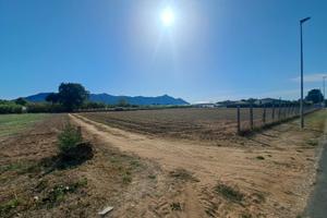 Terreno agricolo