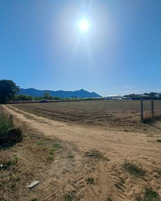 Terreno agricolo