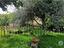 Immagine 24