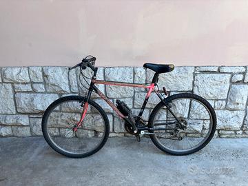 1 bicicletta x 10 euro