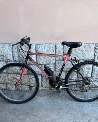 1 bicicletta x 10 euro